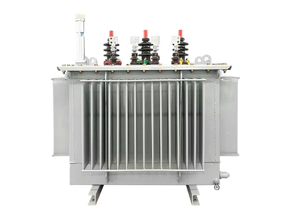 S20 10kV Oil Immersed Transformer
